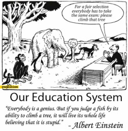 our-education-system-everybody-is-a-genius-but-if-you-judge-a-fish-by-its-ability-to-climb-a-tree-it-will-live-its-whole-life-believing-that-it-is-stupid-albert-einstein